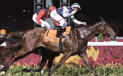 探索香港马会正版资料大全2019，赛马的智慧与乐趣2021年正版马会香港资料大全一