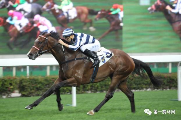 香港正版马会资料免费大全