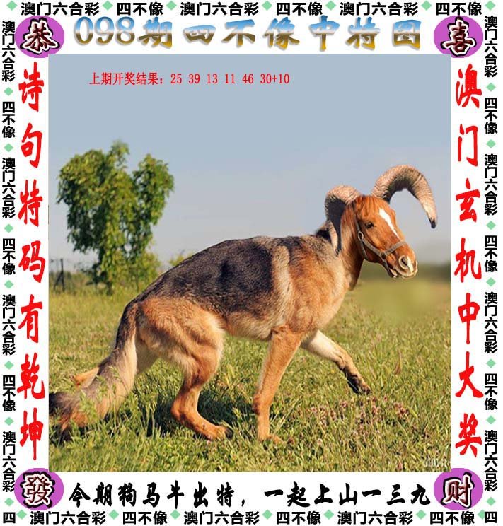 今晚必中四不像图，神秘与机遇的交汇今晚必中四不像图片2019四不像41期