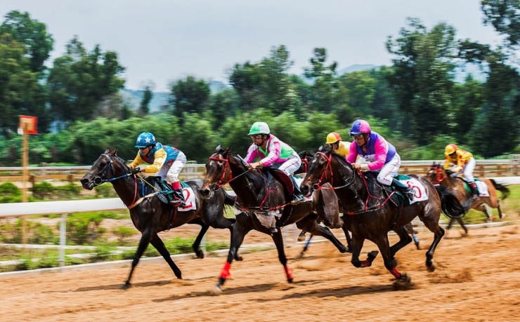 2019年香港马会最快开奖结果，速度与公正的完美结合香港马 会开奖结果新闻