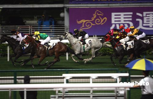 探索香港马会正版资料大全2019，赛马的智慧与激情香港正版马会资料免费大全