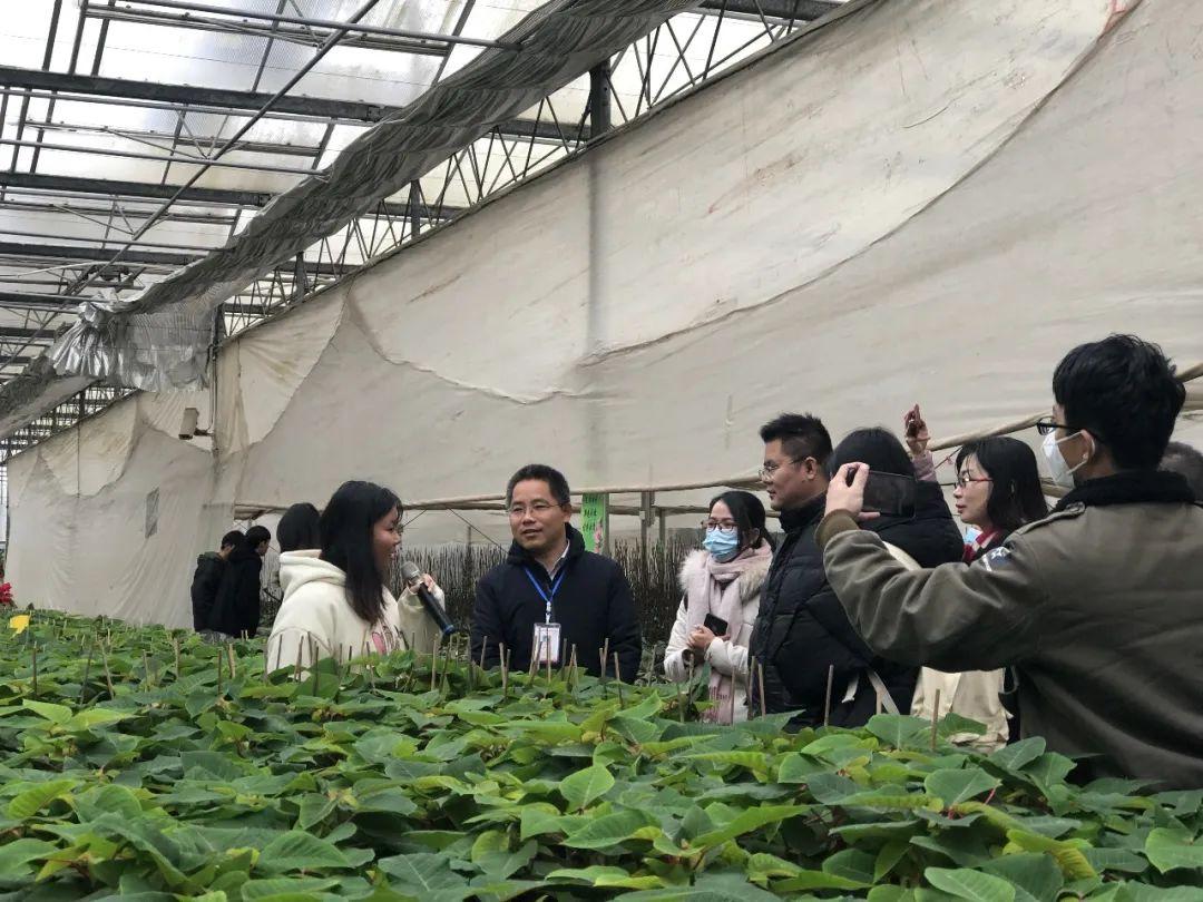 蓝姐三中三大数据论坛，解锁数字时代的智慧碰撞蓝姐三中三论坛资料大全最新版本更新内容介绍