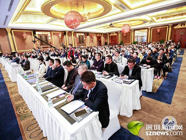 泰和在线论坛，数字时代的社区新生态泰和在线论坛崛起