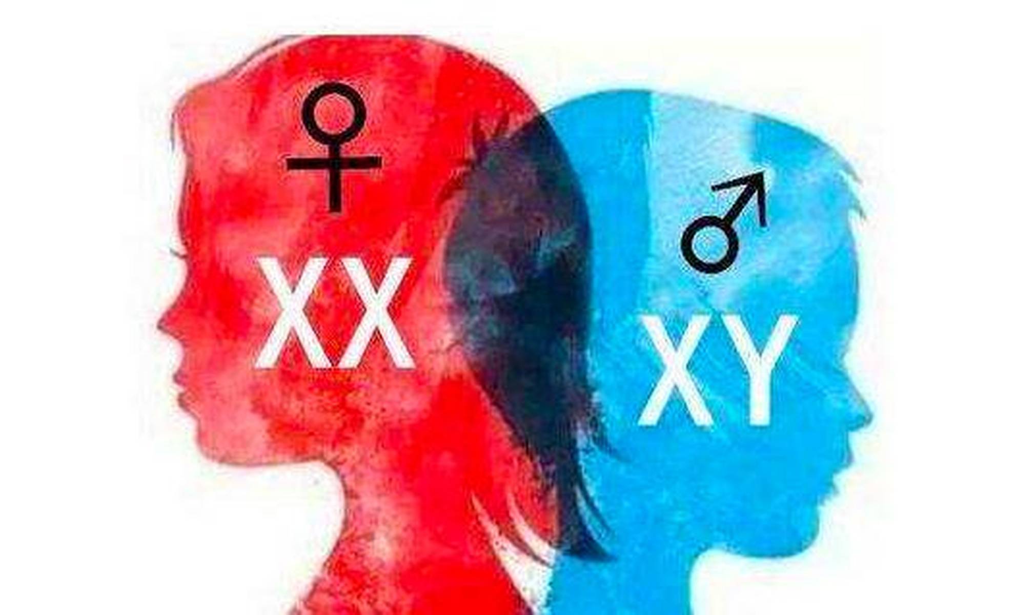 探索双性人生，殅器、自交与图片背后的复杂议题双性人功能及结构图片