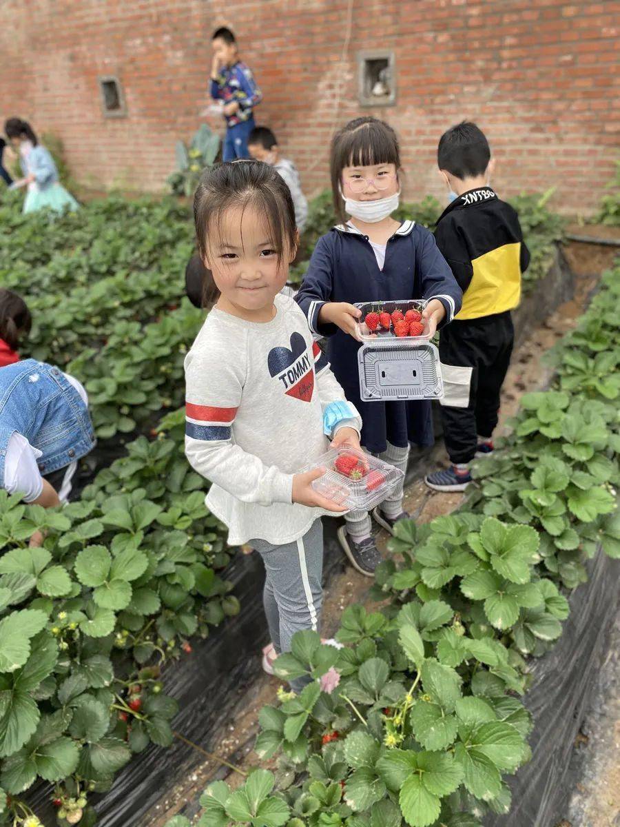 探索澳门，免费资料大全的奇妙之旅打开澳门免费资料大全澳门100