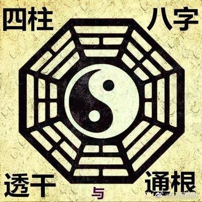 管家婆一码预测，四柱八字揭秘人生奥秘