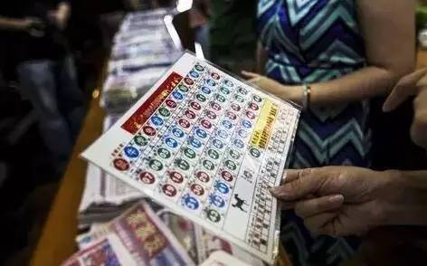 2041年香港港六彩，数字背后的文化与期待2021年香港港六 彩开奖号码近15期