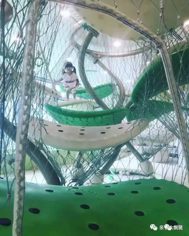 芳草地心水论坛，网络社区的温馨绿洲芳草地论坛高手