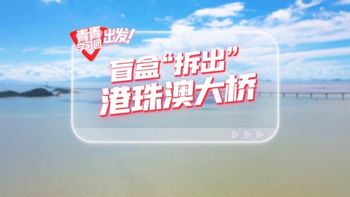 管家婆一码与白蛇图坛，探寻传统智慧中的现代启示