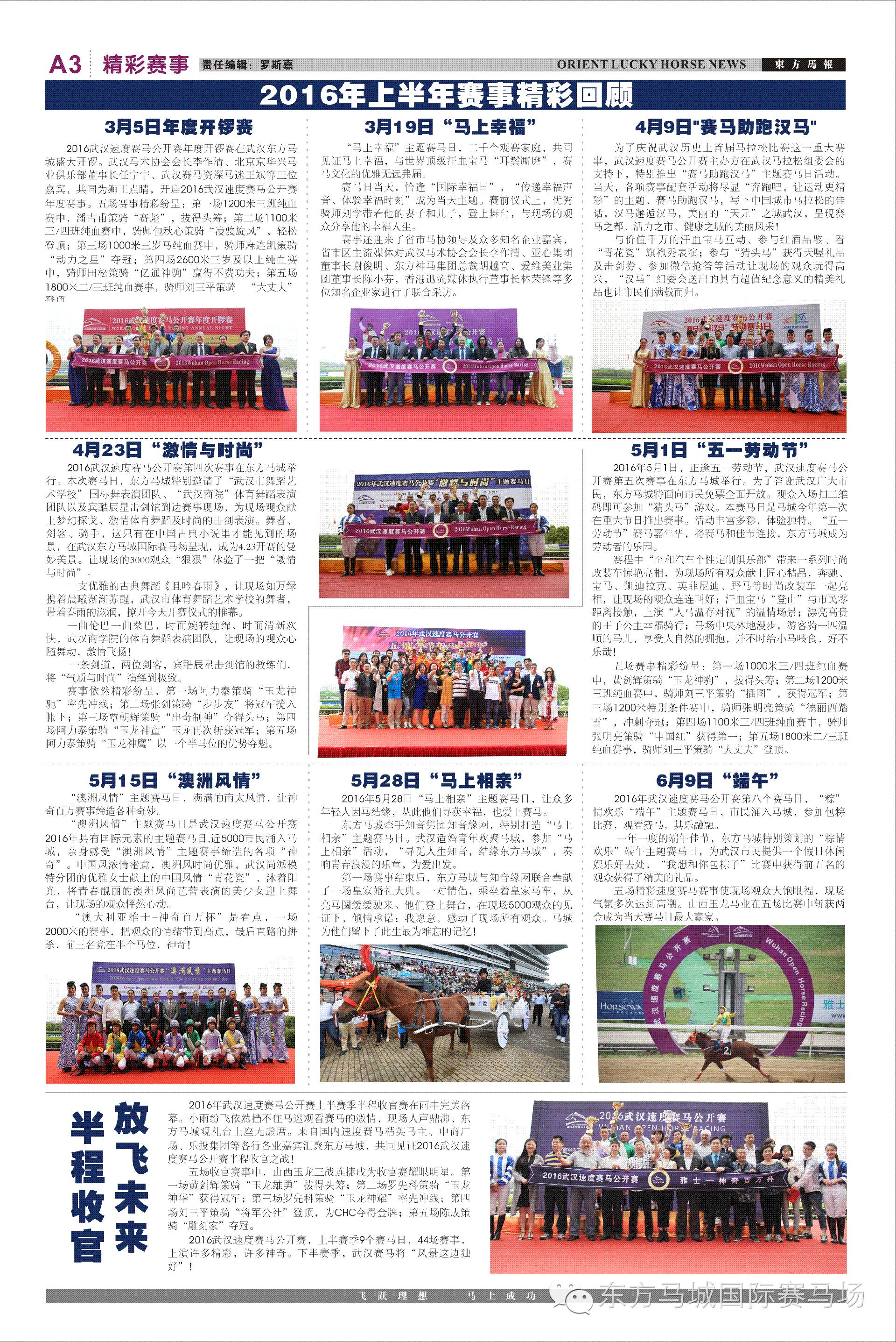 2048年，管家婆的马资料与未来趋势探索2020年管家婆马报