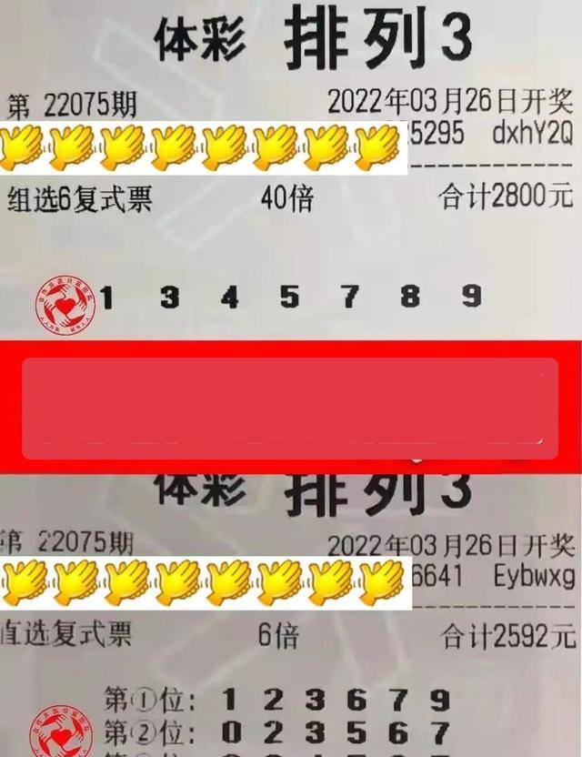 揭秘香港6合开彩，一场数字与运气的较量香港6合开彩开奖结果2022年二十四期开奖结果