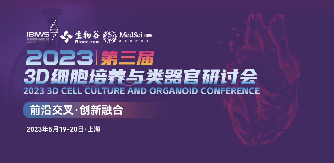 2036年澳门正版资料大全，全面解析与未来展望2023澳门正版资料大全最新版本