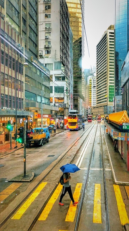 探索香港图库，免费资料大全与看图的乐趣香港图库资讯