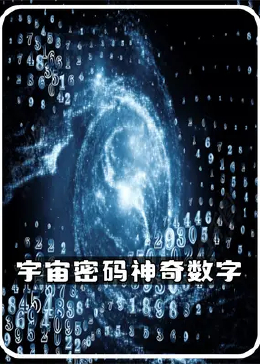 探索数字背后的奥秘，揭秘www.2935061874com的独特魅力