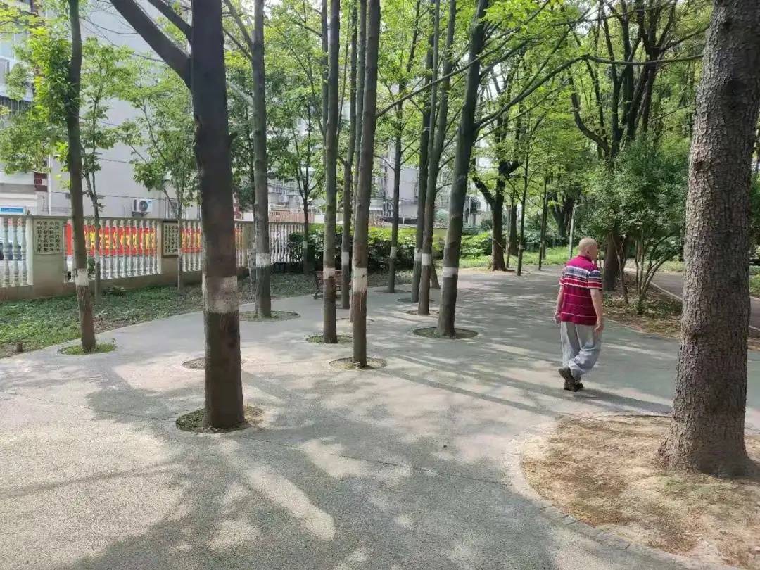 守护正版，智选管家婆资料—共创软件行业健康发展新篇章管家婆正版资2021