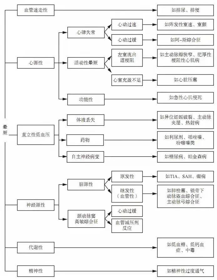 今晚特马揭秘，数字背后的奥秘与期待今晚特马是什么资料