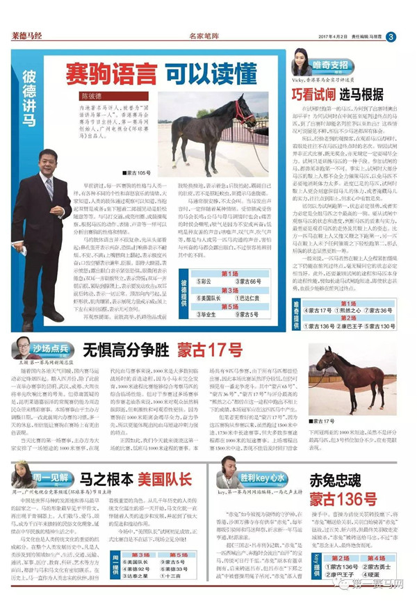 买马资料图2018今晚，一场智慧与运气的较量买马资料图2018第19期