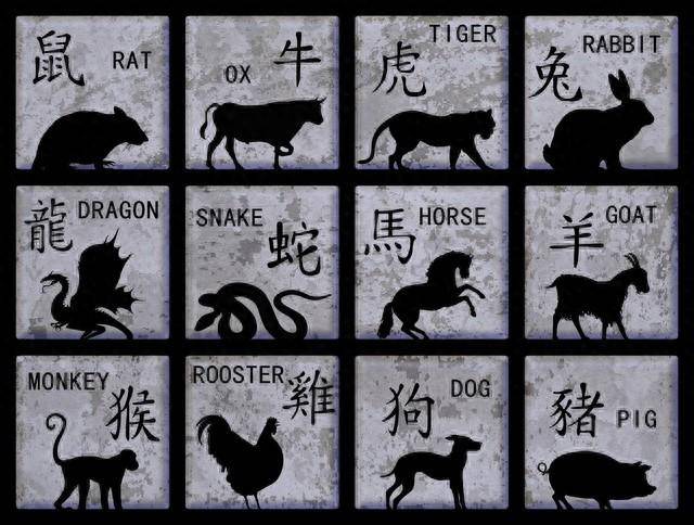 揭秘手机与生肖的神秘联系，一场关于特马猜想的文化探索手机是特马猜一生肖最佳答案