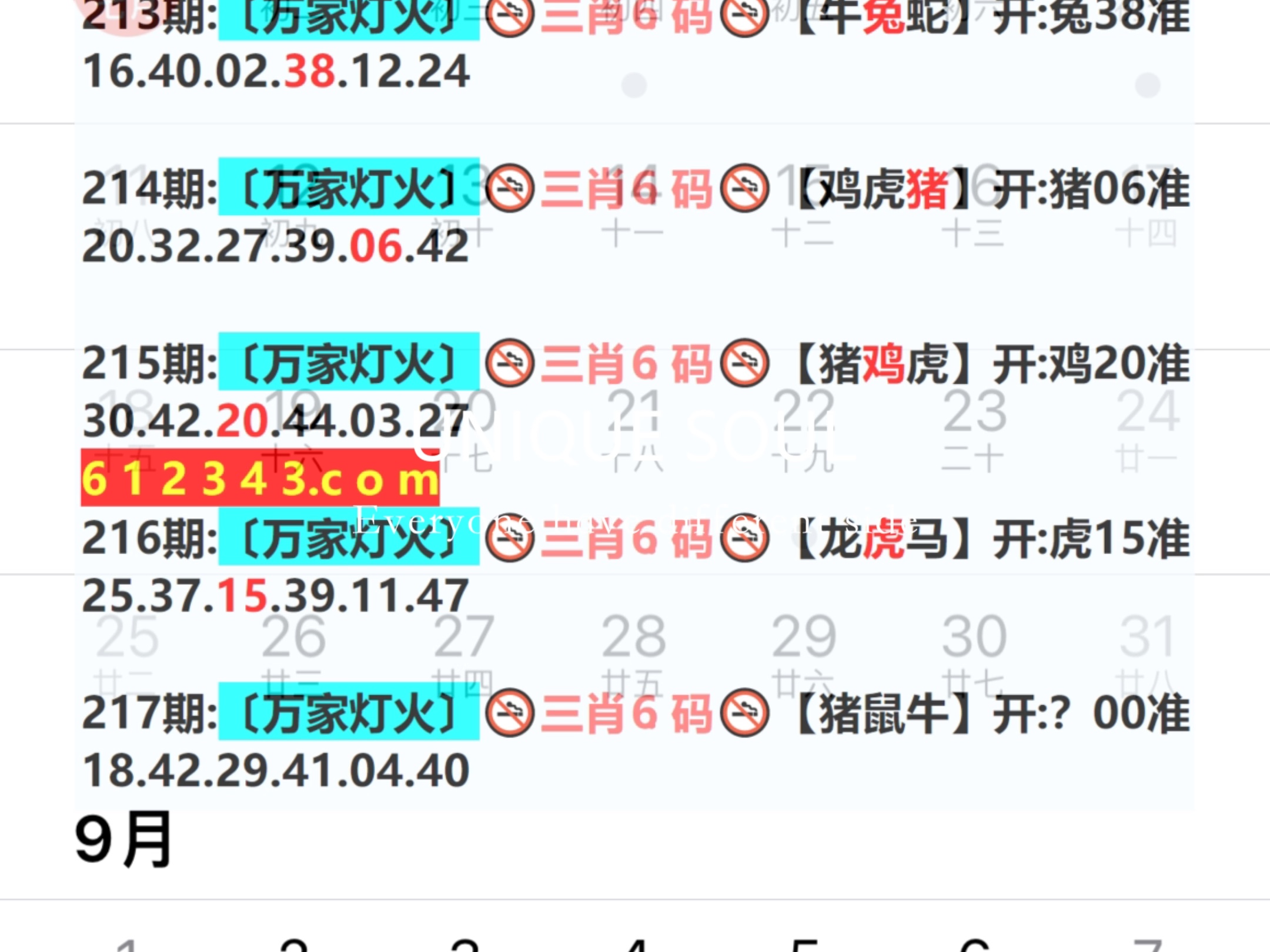 蓝月亮四肖八码精选资料，揭秘数字背后的幸运密码蓝月亮四肖八码精选资料一首页