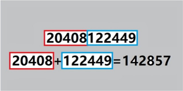 探索493217，一个数字背后的神秘与魅力