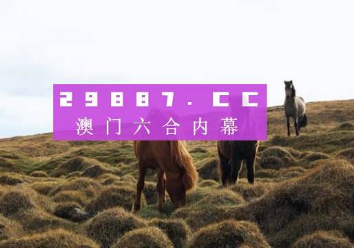 澳门开奖新篇章，2035年展望与回顾新老澳门开奖结果2023开奖记录今晚