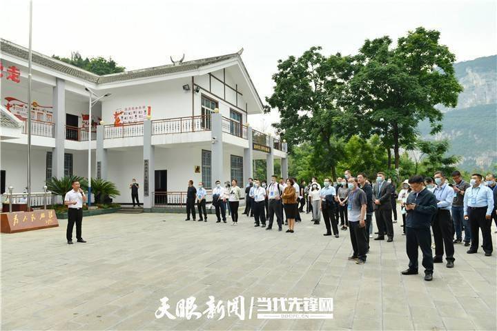七星彩高手论坛，揭秘数字背后的智慧与策略特区七星彩高手论坛