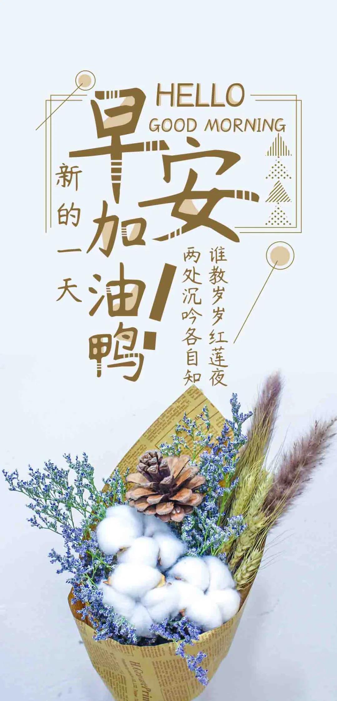 今晚六给彩，揭秘开奖号码背后的秘密与乐趣今晚六给彩开奖号码2021