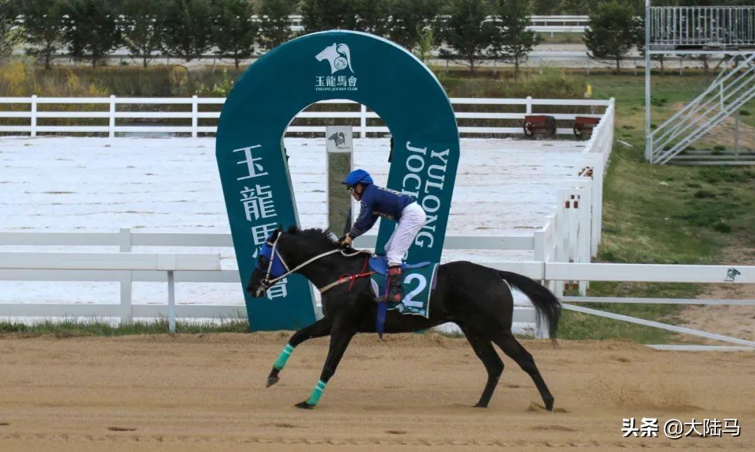 探索香港马会开奖直播，揭秘赛马的激情与科技融合香港最快开奖结果开奖直播