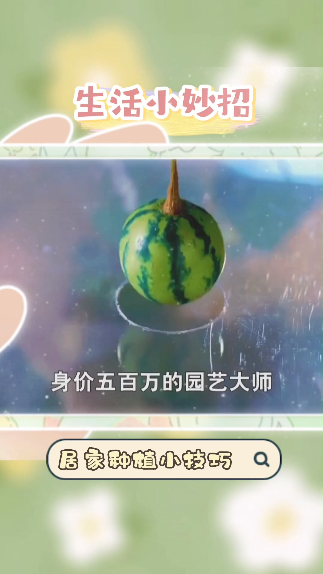 蓝月亮免费资料大全，解锁生活小窍门与清洁新境界蓝月亮免费资料网站