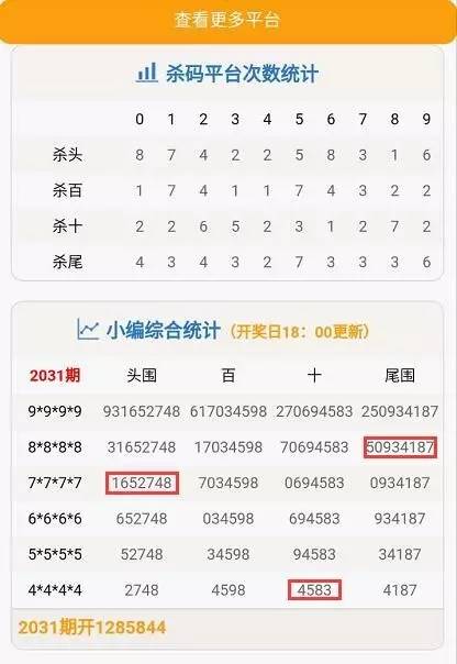 今晚特马码，揭秘彩票背后的数字魔法今晚特马多少期