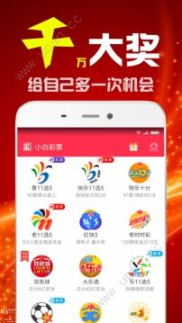每日彩市新风尚，二四六天天好賺料