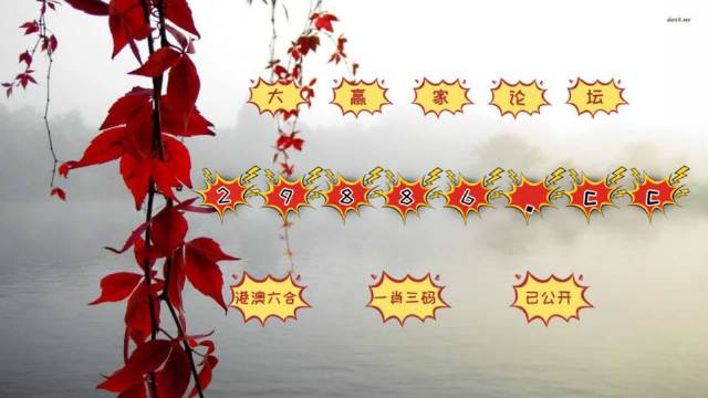 曾道正版资料免费大全,一肖之谜的探索与反思曾道正版资料免费大全一肖一码双色球开奖结果