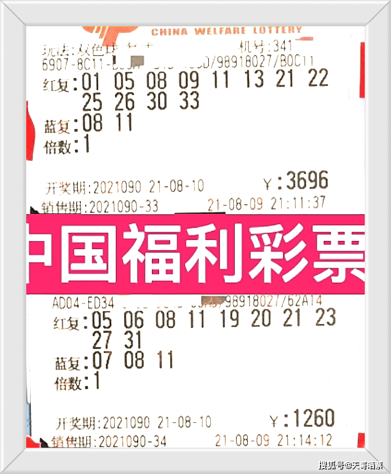 探秘本期香港码开奖结果，揭晓幸运数字的奥秘本期香港码开奖结果现场直播