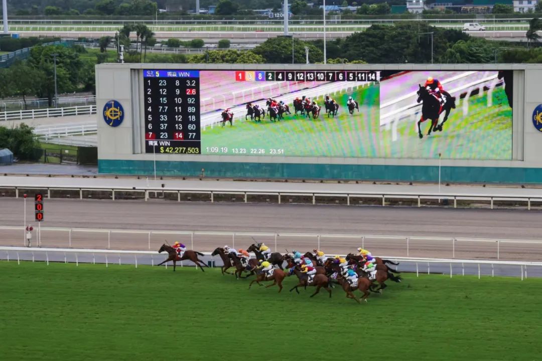 香港马会2019资料大全—全面解析与精彩回顾香港2021年马会资料大全