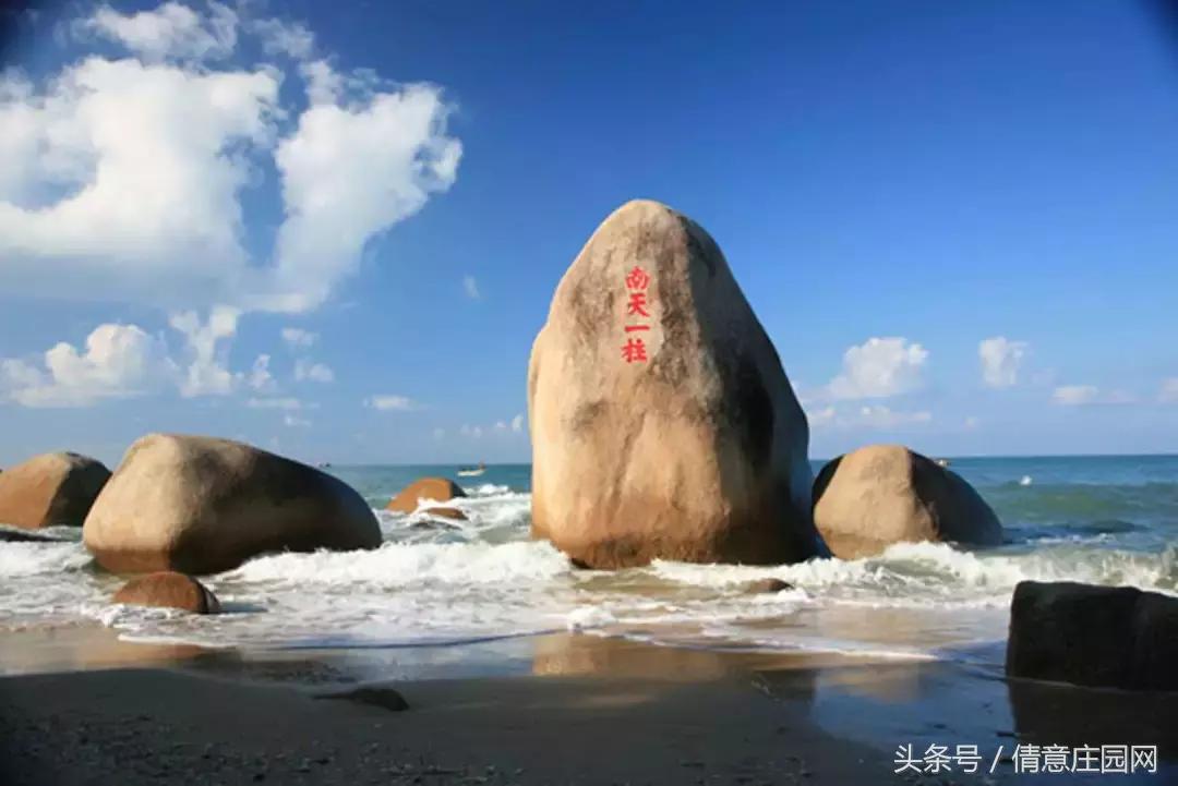 2019全年免费资料大全，知识盛宴，触手可及2019正版免费全年资料