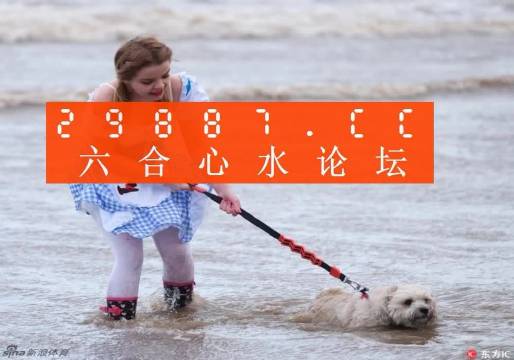 探秘白小姐49，一句诗中的精准奥秘白小姐449999精准一句诗夏天生肖