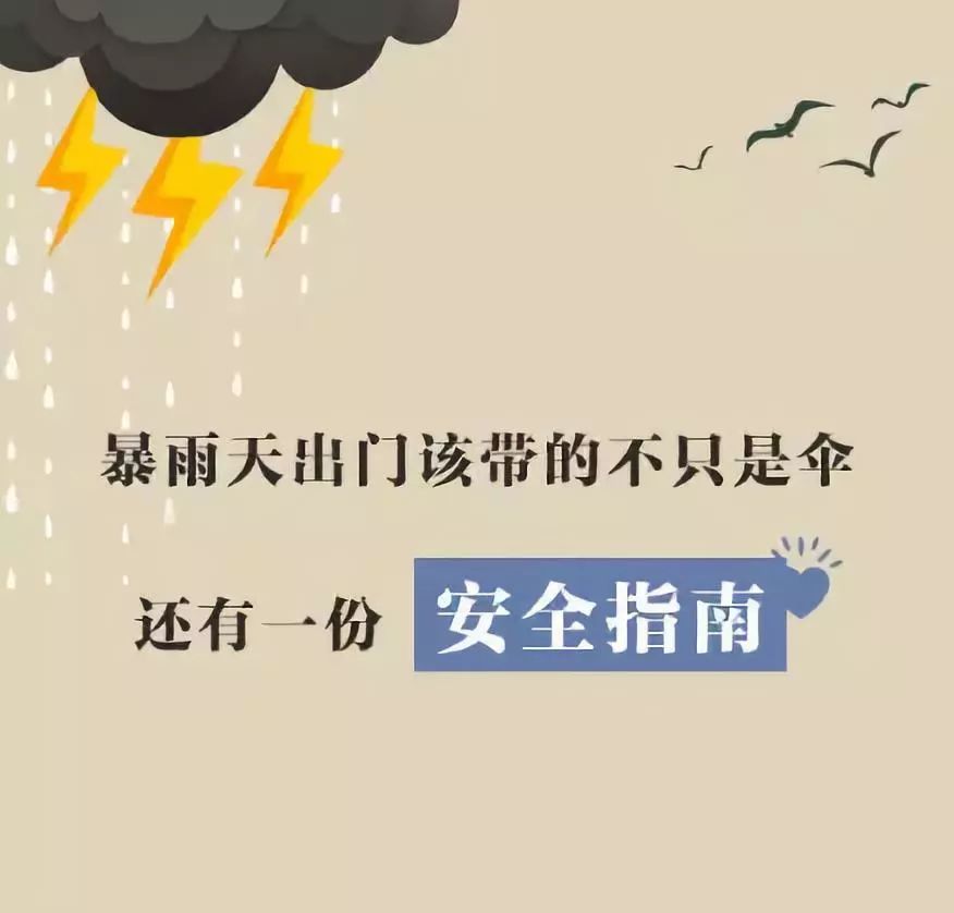 雨灾中的坚韧与希望，香港618特大暴雨事件及其生肖寓意2008香港暴雨