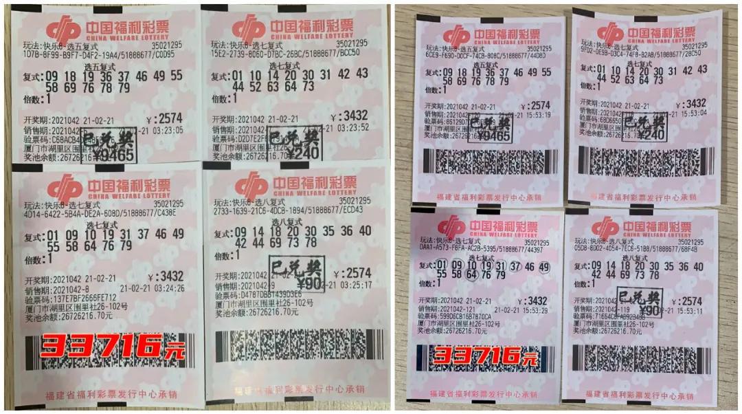 今日香港6合和彩开奖结果查询，官方直播吧最新动态香港6合和彩什么时候开奖