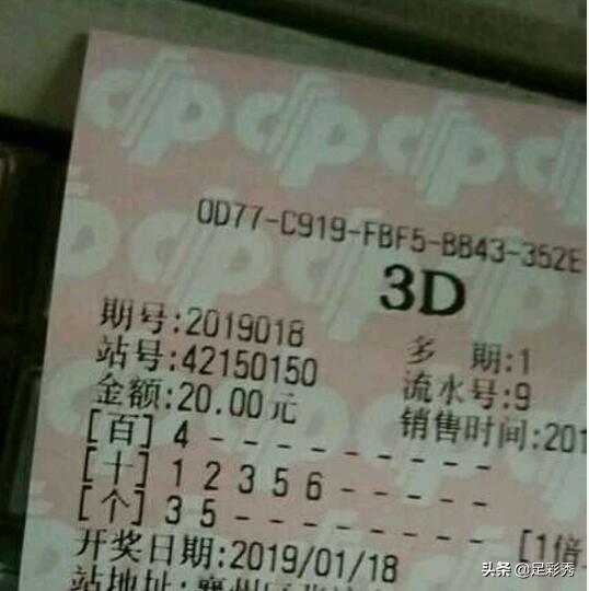 揭秘香港6合总彩，一码中奖情况深度分析图解香港6合总彩如何开奖